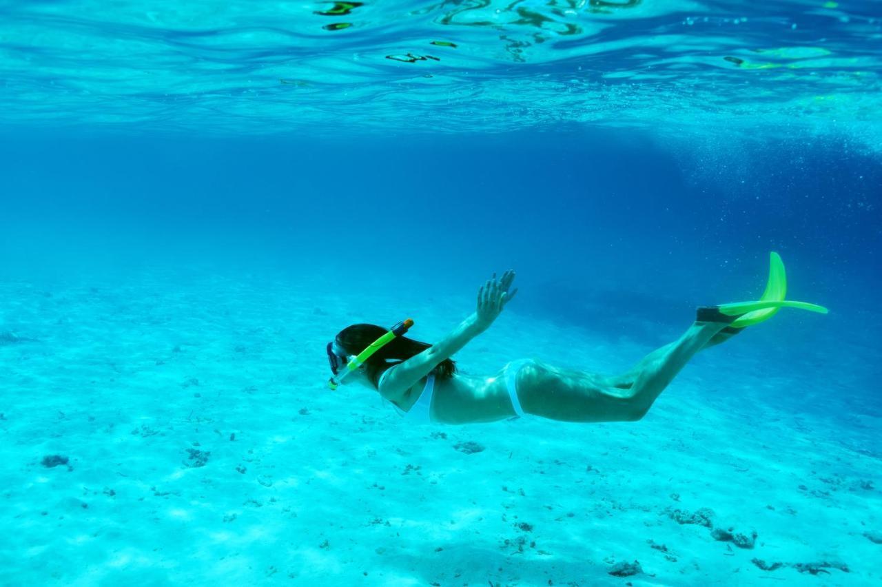 Tropic Isle Hotel & Apartment Χόλιγουντ Εξωτερικό φωτογραφία
